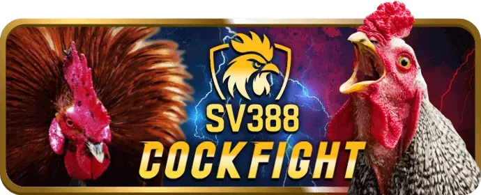 Chương trình VIP mm9